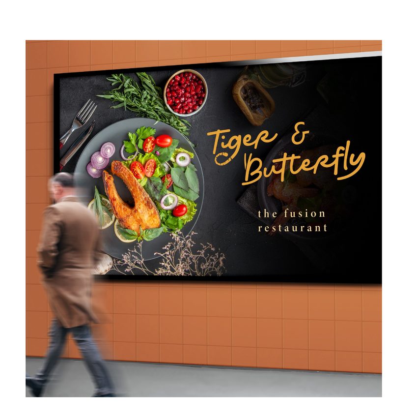 TB Brand Identity